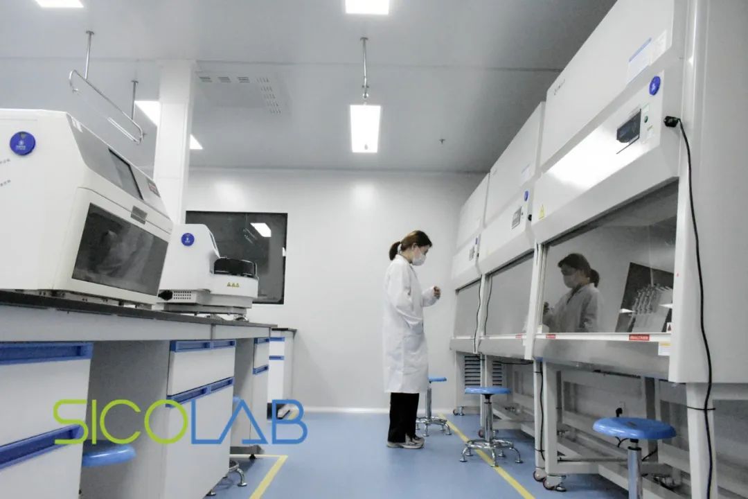 喜格SICOLAB『經(jīng)典案例』深圳市金航細胞生物科技有限公司
